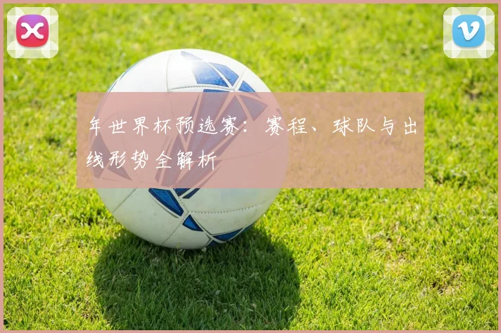 年世界杯预选赛：赛程、球队与出线形势全解析