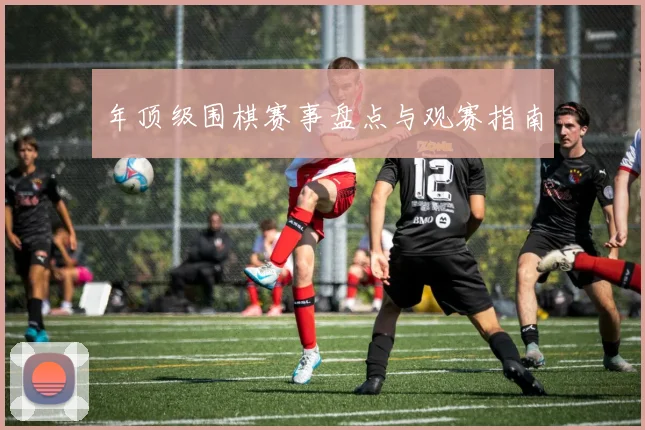 年顶级围棋赛事盘点与观赛指南