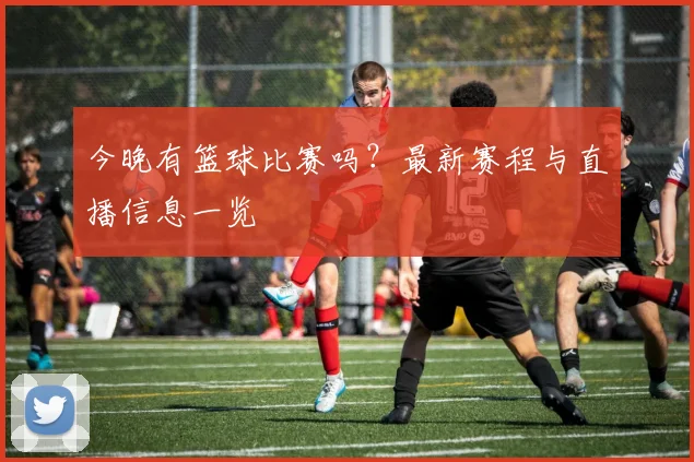 今晚有篮球比赛吗？最新赛程与直播信息一览